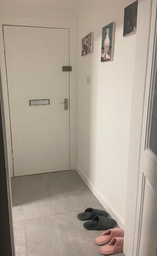 Studio Flat Apartment Largs Bagian luar foto